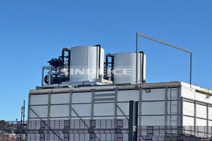 南非海鮮水產保鮮，2臺日產30噸片冰機